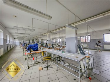 Lokal użytkowy na sprzedaż Waleńczów 1 387m2 Foto 5