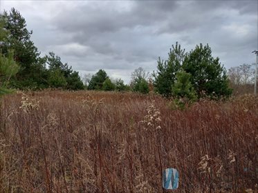 Działka inwestycyjna 3400 m² w Skierdy (MPZP, blisko Warszawy) działka Skierdy, Sowia