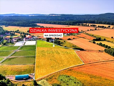 2,70 ha wyjątkowych możliwości. Myślinów k/Jawora działka Myślinów