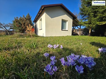 Polecam urokliwy domek letniskowy 14,5m² z oczkiem wodnym działka Piotrków Trybunalski