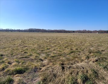 działka na sprzedaż 2290m2 działka Wilków