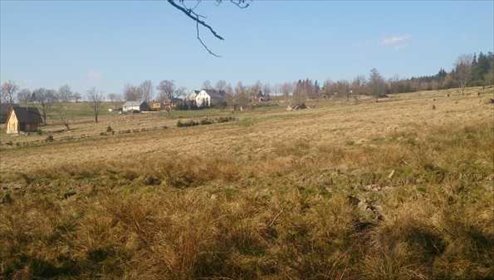 działka na sprzedaż 51300m2 działka Jodłów, Jodłów