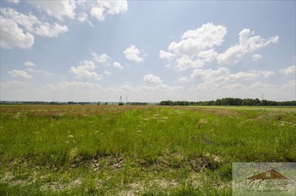 Działka przemysłowo-handlowa na sprzedaż Moszczanica 53 900m2 Foto 2