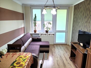 mieszkanie na wynajem Włocławek Zazamcze Toruńska 28,46 m2