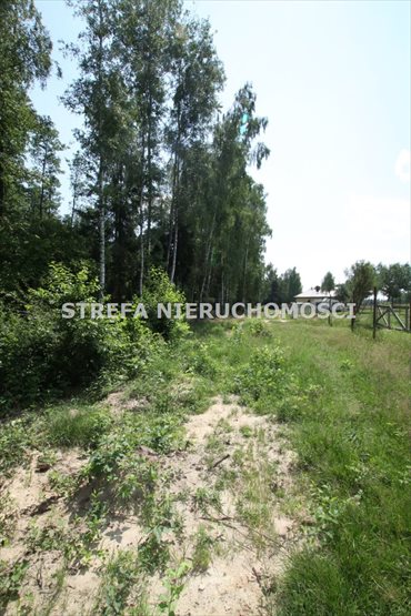 Działka leśna na sprzedaż Liciążna 2 128m2 Foto 7