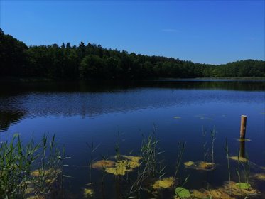 działka na sprzedaż 80300m2 działka Choszczno