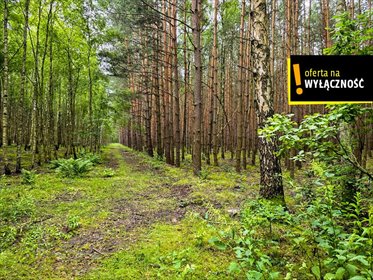 działka na sprzedaż 19200m2 działka Strzegomek