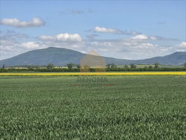 Działka 12 700 m² z widokiem na Sudety - polecam! działka Świdnica