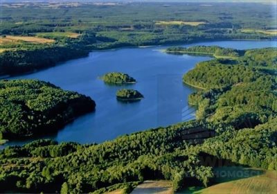 Działka 3500 m² z lasem i stawem w Komorzu polecam działka Komorze