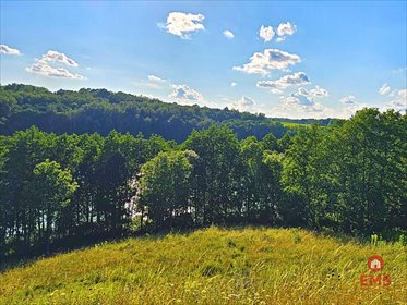 działka na sprzedaż 1205m2 działka Kiersztanowo