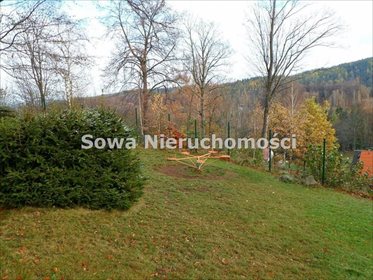 Lokal użytkowy na sprzedaż Przesieka 1 700m2 Foto 4