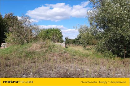Działka budowlana na sprzedaż Bobrowniki, Głowaczów 48 900m2 Foto 2
