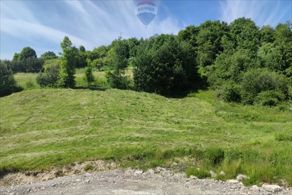 Działka budowlana na sprzedaż Grywałd 4 011m2 Foto 7