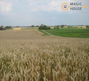 działka na sprzedaż 148824m2 działka Waplewo