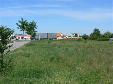 Działka inwestycyjna 16 000 m² w Rynarzewie polecam! działka Rynarzewo, Wybudowanie Rynarzewskie