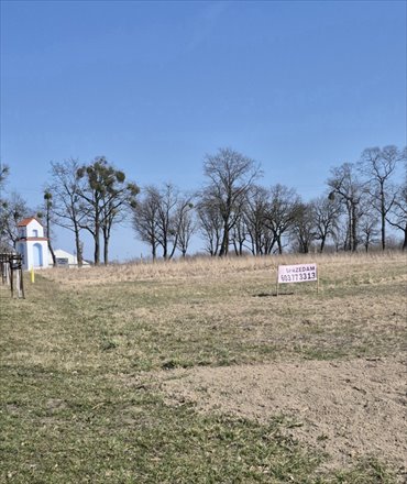 Działka 1959 m² w Sośnicowicach przy Gimnazjalnej zapraszam działka Sośnicowice, Gimnazjalna