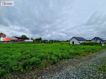 Na sprzedaż działka 1251 m² pod dom i usługi w Piotrówku działka Piotrówek