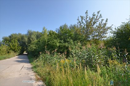 Działka rolno-rekreacyjna 1800 m2 w Dziekanowie Polskim działka Łomianki, Dziekanów Polski