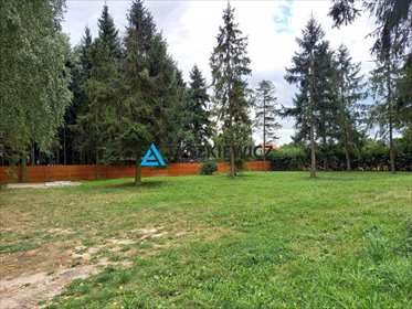 działka na wynajem 700m2 działka Sucumin