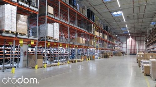 Lokal użytkowy na wynajem Pruszcz Gdański, Pogodno 4 000m2 Foto 1