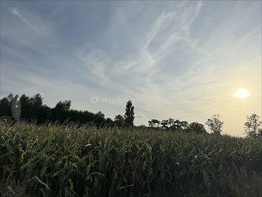 działka na sprzedaż 5000m2 działka Łobódź