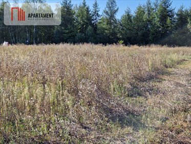 Na sprzedaż działka 1100 m² z projektem domu i lasem w pobliżu działka Rogowo