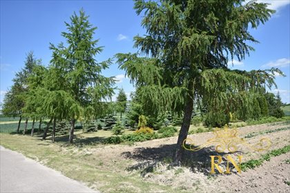 Działka siedliskowa na sprzedaż Kolonia Bystrzyca 1 300m2 Foto 1