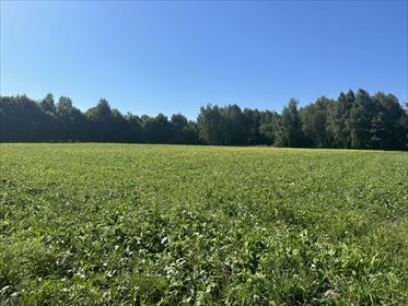 Działka pod 6 domów, media, płaska, inwestycja polecam działka Zielona Góra, Racula- Rodła