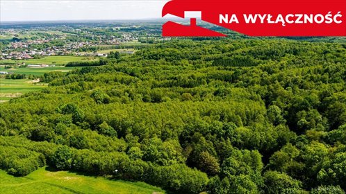 działka na sprzedaż 5572m2 działka Skrzyszów