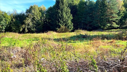 Na sprzedaż działka 3400 m² w Bystrzycy Kłodzkiej działka Bystrzyca Kłodzka