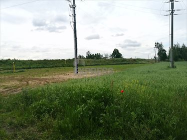 Działka przemysłowo-handlowa pod dzierżawę Ociąż, Ostrowska 26 000m2 Foto 3