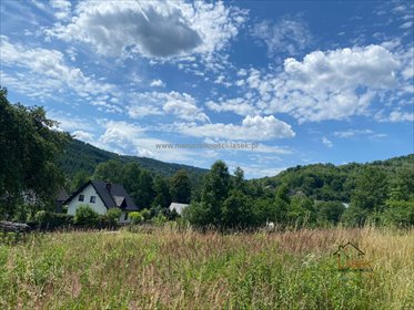 działka na sprzedaż 1700m2 działka Jaszczurowa