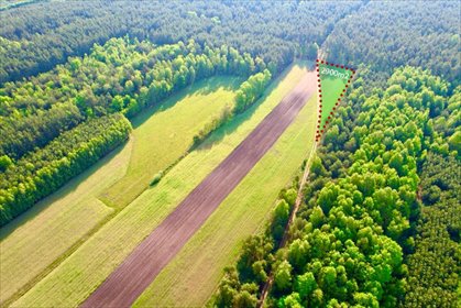 działka na sprzedaż 2900m2 działka Skrwilno, Skrwilno