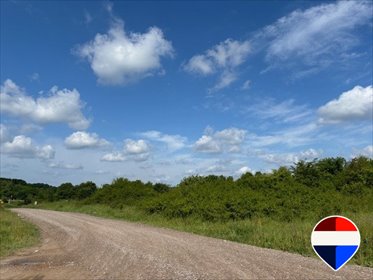 Duża działka 3178 m2 z dostępem do mediów i pięknym widokiem działka Gdański, Słonecznikowa