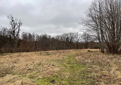 działka na sprzedaż 13276m2 działka Barcino