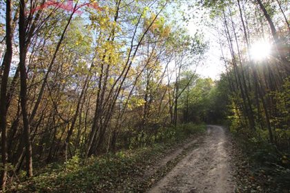 działka na sprzedaż 10500m2 działka Chorkówka