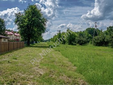 Zapraszam do zakupu działki 1500 m² w Czarnym Lesie działka Czarny Las
