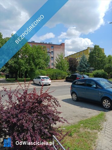 3-pokojowe mieszkanie w Wronkach, garaż, blisko natury - polecam! mieszkanie Wronki, Borek 1