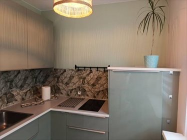 Na wynajem komfortowe 2-pokojowe mieszkanie z dużym tarasem mieszkanie Poznań