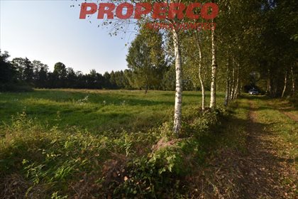 Lokal użytkowy na sprzedaż Drugnia 78 600m2 Foto 7