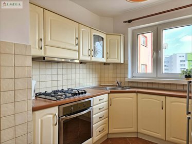 mieszkanie na wynajem 60m2 mieszkanie Sosnowiec, Centrum