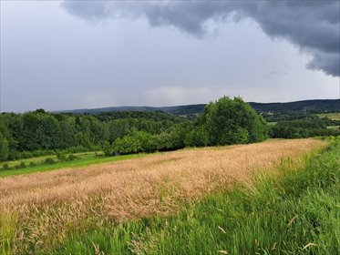 działka na sprzedaż 8575m2 działka Sieklówka