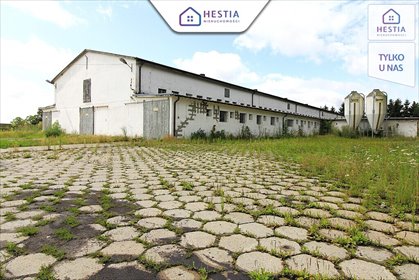 Polecam magazyn 1951 m² z pełnym uzbrojeniem i dużym potencjałem magazyn Strzyżno