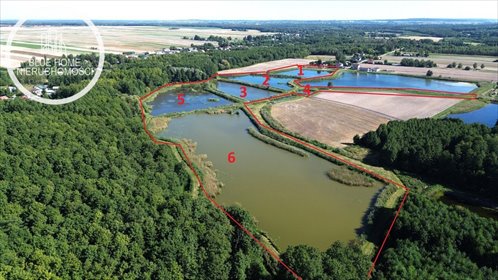 Sprzedam działkę z funkcjonującymi stawami hodowlanymi 83 200 m² działka Żulin