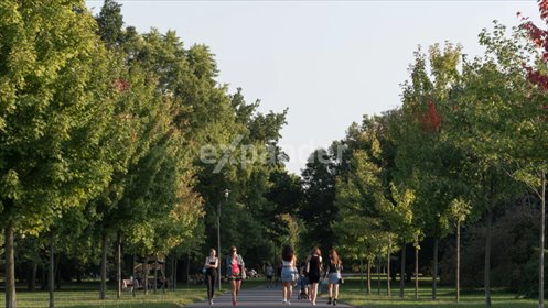 mieszkanie na sprzedaż 39m2 mieszkanie Poznań, Wilda, Dolna Wilda