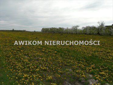 działka na sprzedaż 10335m2 działka Wycinka Wolska