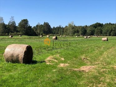 działka na sprzedaż 162900m2 działka Chocianów