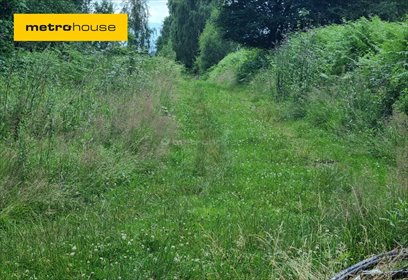 działka na sprzedaż 2000m2 działka Buczkowice, Wypoczynkowa