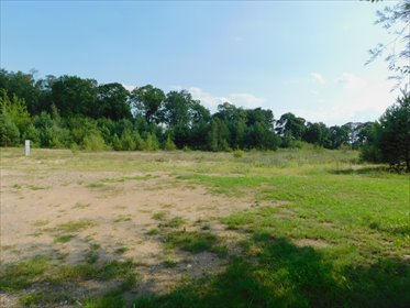 działka na sprzedaż 660m2 działka Prażmowo