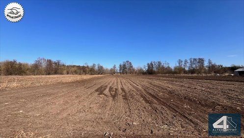 działka na sprzedaż 5000m2 działka Bolimowska Wieś